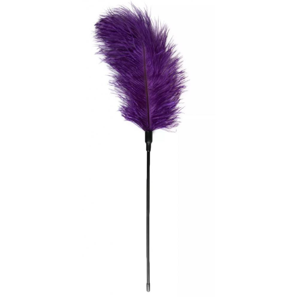 Easytoys Пір'їнка для пестощів  Feather Tickler XL, фіолетове (8718627527955) - зображення 1