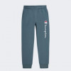 Champion Оливкові чоловічі спортивнi штани  rib cuff pants cha219418-BLG - зображення 4