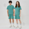 Converse Зелені чоловічі шорти  STANDARD FIT WEARERS LEFT STAR CHEV EMB SHORT con10023875-346 - зображення 1