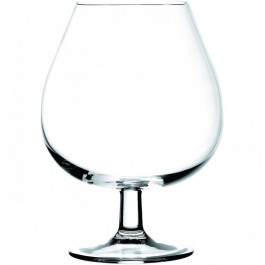   BERGNER MasterPro Barware oenology для коньяку 2х670 мл (BGEU-2883)