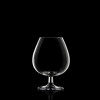 BERGNER MasterPro Barware oenology для коньяку 2х670 мл (BGEU-2883) - зображення 4