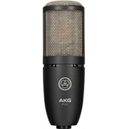   AKG P220