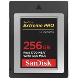   SanDisk 256 GB Extreme PRO CFexpress Type B (SDCFE-256G-GN4NN)