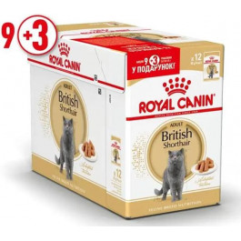   Royal Canin British Shorthair Adult 85 12 шт