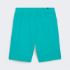 PUMA Бірюзові чоловічі шорти  ESS+ PALM RESORT Shorts 10" TR 683003/86 - зображення 5