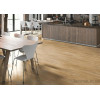 Quick-Step Balance Click Plus Canyon Oak Natural (BACP40039) - зображення 1