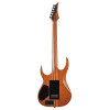 Solar Guitars S1.6APB POPLAR BURST MATTE - зображення 2