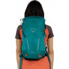 Osprey Hikelite 18 / Escapade Green (10004809) - зображення 8