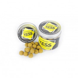   CFM Baits Бойлы Carp Catchers Impulse Hookbaits «Yess» 14mm 100g