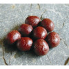 Enterprise Tackle Пеллетс Bloodworm-Shrimp pellets 8mm - зображення 1