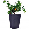 Keter Вазон Medium Rattan Planter 38.5х38.5х57 см Серый (7290103659288) - зображення 1