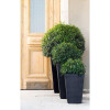 Keter Вазон Medium Rattan Planter 38.5х38.5х57 см Серый (7290103659288) - зображення 2