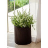 Keter Горшок для цветов Cylinder Planter L Коричневый (7290103664206) - зображення 4