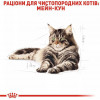 Royal Canin Maine Coon Adult 85 г (2031001) - зображення 6