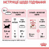 Royal Canin Kitten 4 кг (2522040) - зображення 8