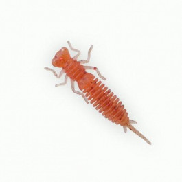   Fanatik Larva 4.5" / 017