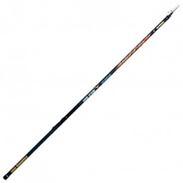   Fishing ROI Bolognese Cyclone (6.00m 10-30g)