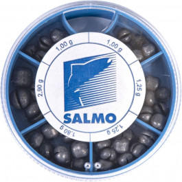   Salmo Набор «Дробинка» KP100 100g