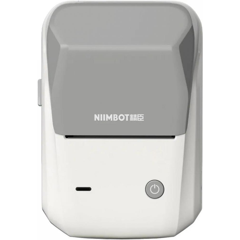 NIIMBOT B1 Grey (1AC12202005) - зображення 1