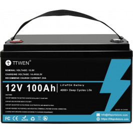   TTWEN 12V 100Ah LiFePO4 BMS