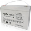 MAXX Battery 12-FM-100 12V 100Ah - зображення 1