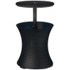 Keter Стол-термос Cool Bar Rattan Graphite (7290103660550) - зображення 1