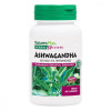 Nature's Plus Ашваганда, 450 мг, Ashwagandha, Herbal Actives, , 60 Вегетаріанських Капсул - зображення 1