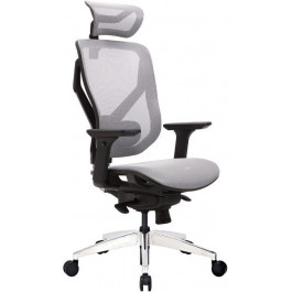   GTCHAIR Vida (V7-A)