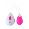 Dream toys ALL TIME FAVORITES 10F REMOTE EGG (DT21839) - зображення 1