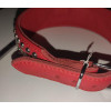 DS Fetish Ошейник Leather Rivet & Crystal, Red (F61246) - зображення 2