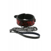 Dream toys Ошейник с поводком BLAZE DELUXE COLLAR & LEASH (DT21534) - зображення 1