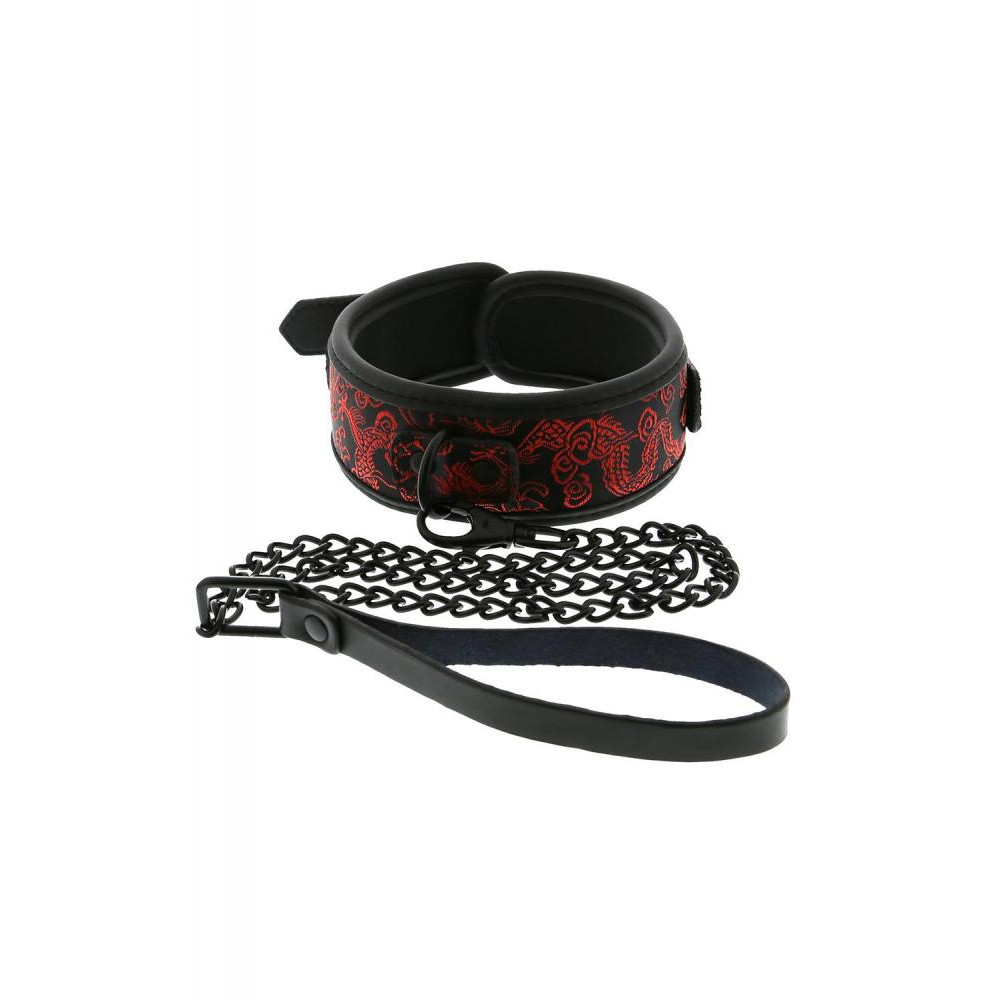 Dream toys Ошейник с поводком BLAZE DELUXE COLLAR & LEASH (DT21534) - зображення 1