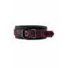 Dream toys Ошейник с поводком BLAZE DELUXE COLLAR & LEASH (DT21534) - зображення 4