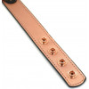 Liebe Seele Rose Gold Memory Collar with Nipple Clamps (SO9495) - зображення 4