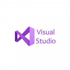   Microsoft Visual Studio Professional 2022 Charity Perpetual (DG7GMGF0D3SJ_0003CHR)