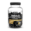 Evolite Nutrition Tribulus Terrestris 95% 60 капсул - зображення 1