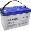 Pantec GEL 12V 100Ah (PTG100-12) - зображення 1