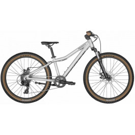   Scott Scale 24 disc 2022 / рама 31см silver (286627.222)