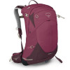 Osprey Sirrus 24 / Elderberry Purple/Chiru Tan (10005784) - зображення 1