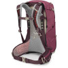 Osprey Sirrus 24 / Elderberry Purple/Chiru Tan (10005784) - зображення 3