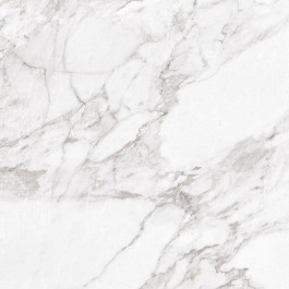   Argenta Ceramica Carrara CARRARA WHITE SHINE 600х600х10