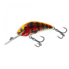 Salmo Rattlin Hornet 3.5cm - Floating / Holo Red Perch (QRH511) - зображення 1