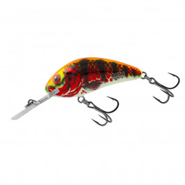   Salmo Rattlin Hornet 3.5cm - Floating / Holo Red Perch (QRH511)