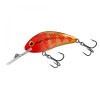 Salmo Rattlin Hornet 3.5cm - Floating / Holo Red Perch (QRH511) - зображення 3