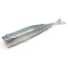 Z-Man Pop ShadZ 5" / Smoky Shad (POPSHAD5-57PK3) - зображення 1