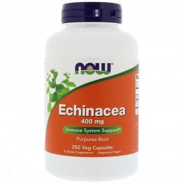   Now Эхинацея 400мг, Now Foods, Echinacea Purpurea, 250 капсул