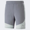 PUMA Сірі чоловічі шорти  EVOSTRIPE Shorts 8" DK 673314/69 - зображення 6