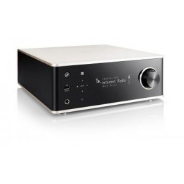   Denon DRA-100