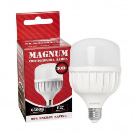   Magnum LED BL80 30W E27 6500K (90015907)