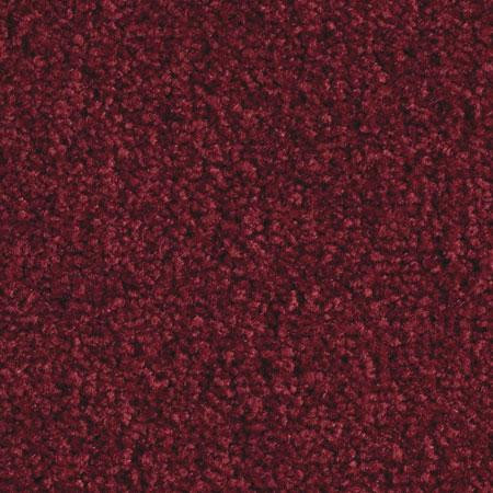 Balsan Script 730 - зображення 1